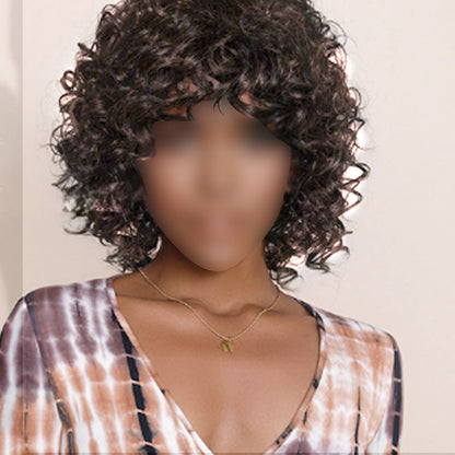Women's Fluffy Short Curly Hair Wig