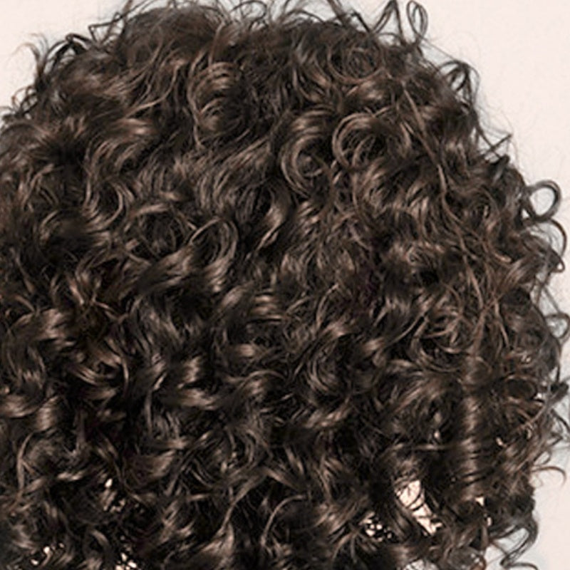 Women's Fluffy Short Curly Hair Wig