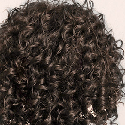 Women's Fluffy Short Curly Hair Wig